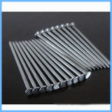 Smooth Shank Common Nail Iron Nail with Factory Price