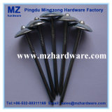 Electro Hot-Dipped Galvanized Umbrella Head Roofing Nail