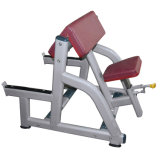 Seated Arm Curl Fitness Equipment, Body Building Machine, Gymnasium, Hammer Strength