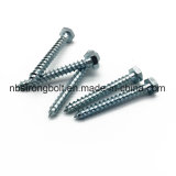 DIN571 Hex Head Lag Screw with Zinc Plated