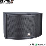 2017 Superior Quality HK-10 Big Bass KTV PRO PA Speaker