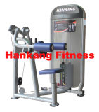 Gym and Gym Equipment, Fitness, Body Building, Hammer Strength, Lateral Deltoids (HP-3011)