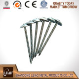 Best Quality Unberlla Head Roofing Nails