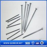 Good Quality Screw Shank Twisted Roofing Nail