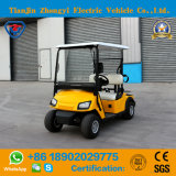 New Design Mini 2 Seats Battery Power Golf Cart with Ce Certificate