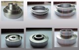Carbon Steel and Stainless Steel Flange for Chemical Machinery