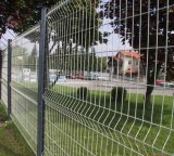 Galvanized Welded Wire Mesh for Fencing
