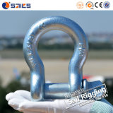 China Us Type G209 Bow Type Screw Pin Anchor Shackle