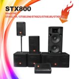 Skytone Stx800 Series DJ Loudspeaker Professional Audio Speaker