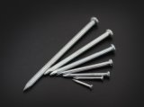 Galvanized Concrete Nail with Fluted Shank in Material 55# for Construction