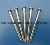 Wholesale Hardware Common Round Nails Iron Nails in China