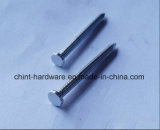 High Quality Galvanized Hardened Steel Concrete Nail