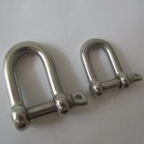 Stainless Steel EU Type Large Dee Shackle