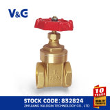 Female Thread and ISO228 Copper Brass Gate Valve (VG11.90011)