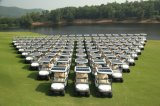 Solar Power 4 Seater Electric Golf Carts