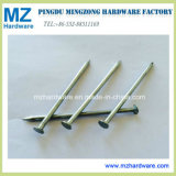 Polished Common Round Wire Nail in Construction