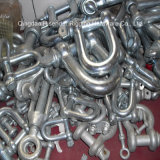 E. Galvanized D Type Shackle of Rigging Hardware