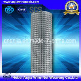Hot Dipped Galvanized Welded Wire Mesh Panel in 6 Gauge