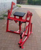 Fitness Equipment /Hammer Strength/Gym Machine / Seated Biceps