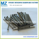 Common Nail/Iron Round Nail in Competitive Price