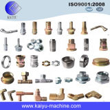 Various Standards Metal Pipe Fittings