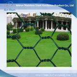 Hexagonal Wire Netting for Decoration Building Material