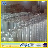 High Quality Welded Wire Mesh for Building -Electro Galvanize Coated