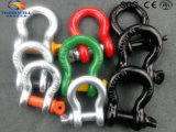 High Quality Forged Color Painted G209 Screw Pin Shackle