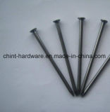 Round&Smooth Common Nails Made in China