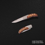 Folding Knife with Wooden Handle (#3993)
