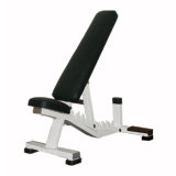 Multi Adjustable Bench Gym Equipment, Fitness, Body Building, Hammer Strength