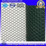 PVC Coated Hexagonal Wire Netting for Building Material with SGS