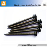 40 Mm Ring Shank Common Nails Electric Galvanized