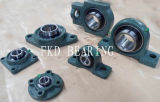 Hebei Hailan Bearing Manufacture Co., Ltd.