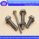 Stainless Steel DIN 6921 Hex Flange Bolt for Fasteners Industry