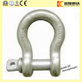 Stainless Steel Us Type G209 Screw Pin Bow Shackle