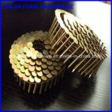 3/4''-2'' Electro Galvanized Coil Roofing Nail for Sale