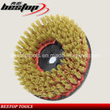 D200mm Circular DuPont Brush for Cleaning