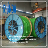 6KV 10KV XLPE Insulated Steel Wire Armored SWA Electric Cable