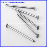 Polished Common Nail, Common Iron Wire Nail with Best Quality