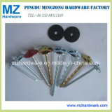 Colorful Paint Head Electro Galvanized Polished Umbrella Head Roofing Nails