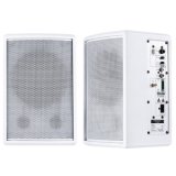 Se-40wh IP Network PA Active Speaker
