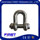 G2150 Chinese Supplier of Marine Hardware D Shackle