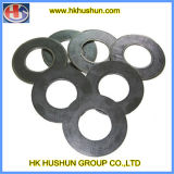 Factory Hot Sale Ring Washer, Spring Washer (HS-SW-0014)