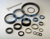 Graphite Carbon Seal Rings for Machinery with ISO 9001