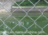 Galvanized Iron Wire Mesh /Chain Link Mesh /Fence Wire Mesh