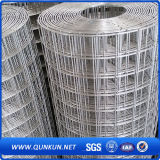 Galvanized Welded Wire Mesh for Building Used with Factory Price
