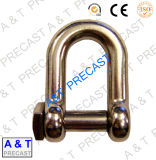 Boat Hardware / 316/304 Stainless Steel/ D Shackle with European Type