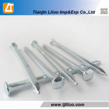 Factory Galvanized Hot Dipped Galvanized Square Boat Nails