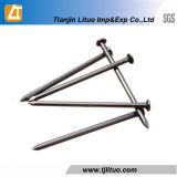 Tianjin Lituo Imp. & Exp. Co., Ltd.